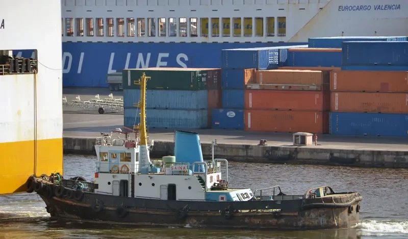 SAINA Tug Boat IMO 7728833