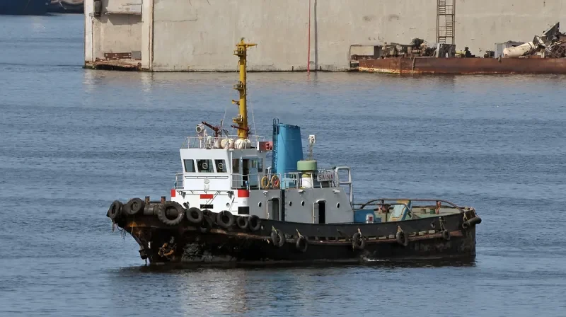 SAINA Tug Boat IMO 7728833 photo 2