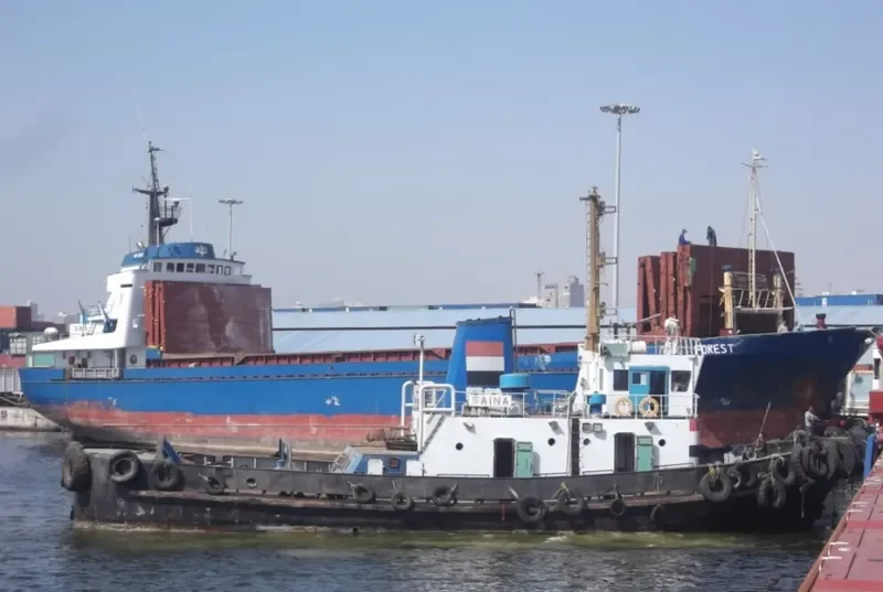 SAINA Tug Boat IMO 7728833 photo 6