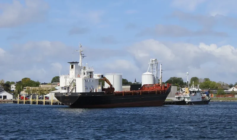TRINE CHARLOTTE General Cargo IMO 7729033 photo 9