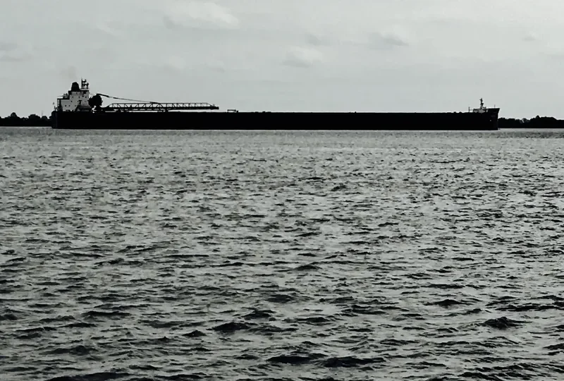 PAUL R.TREGURTHA Bulk Carrier IMO 7729057 photo 2