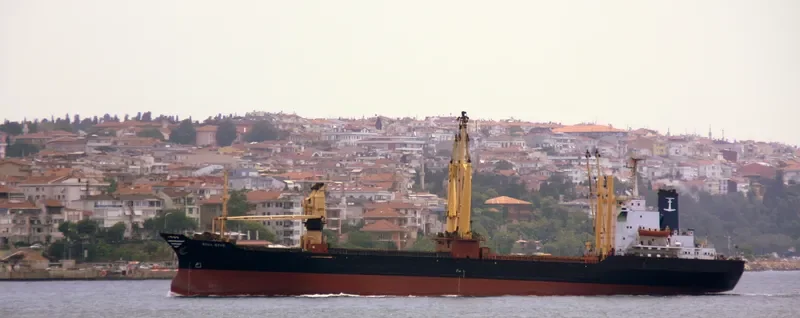 MEGA STAR General Cargo IMO 7729198 photo 5
