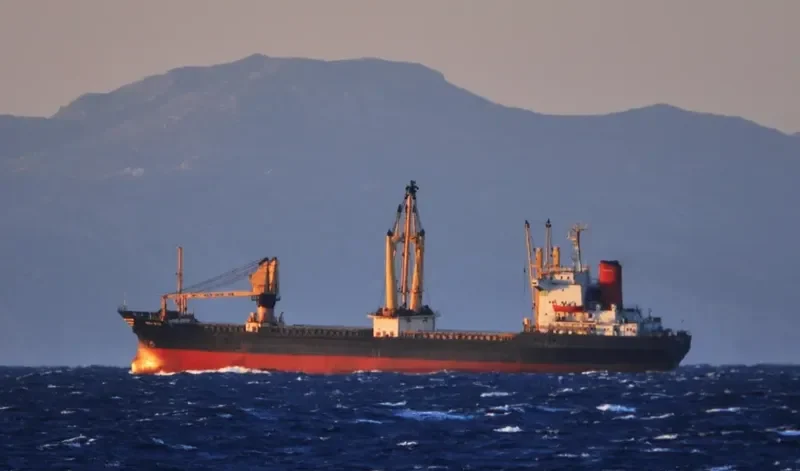 MEGA STAR General Cargo IMO 7729198 photo 6