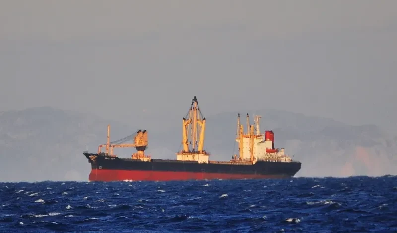 MEGA STAR General Cargo IMO 7729198 photo 8