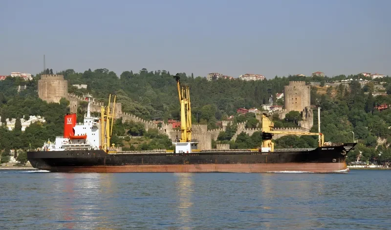 MEGA STAR General Cargo IMO 7729198 photo 10