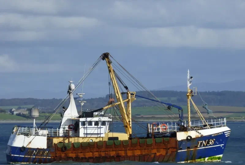 CAMM DEFIANCE General Cargo IMO 7729382
