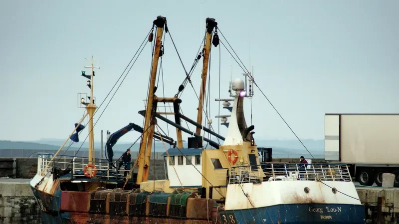 CAMM DEFIANCE General Cargo IMO 7729382 photo 10