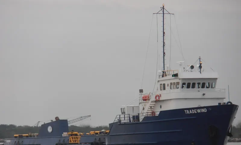 TRADEWIND Offshore Vessel IMO 7729497