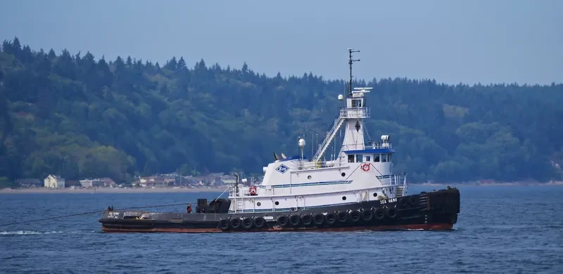 SEA HAWK General Cargo IMO 7729526