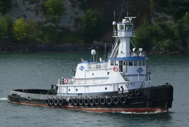 SEA HAWK General Cargo IMO 7729526 photo 2