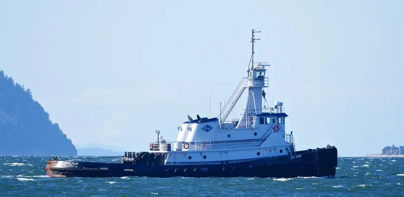 SEA HAWK General Cargo IMO 7729526 photo 3