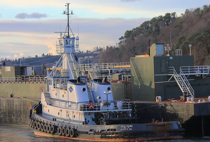 SEA HAWK General Cargo IMO 7729526 photo 6