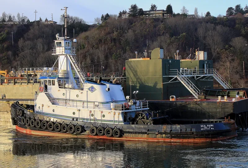 SEA HAWK General Cargo IMO 7729526 photo 7