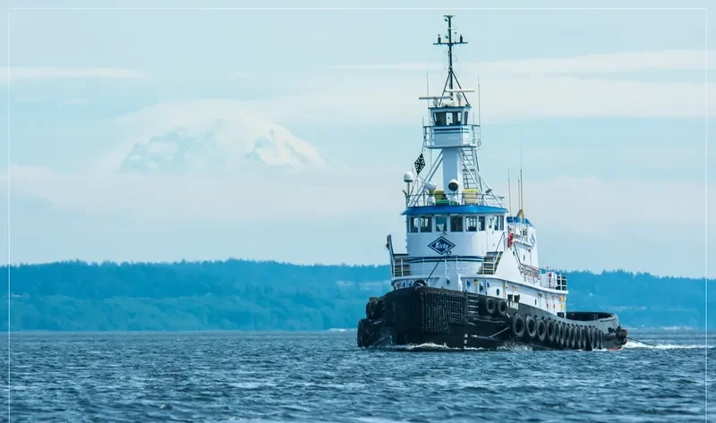 SEA HAWK General Cargo IMO 7729526 photo 10