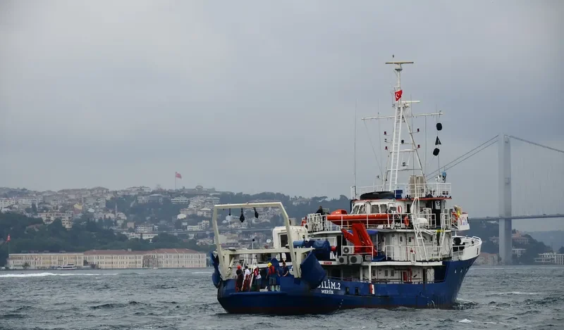 BILIM 2 General Cargo IMO 7729667