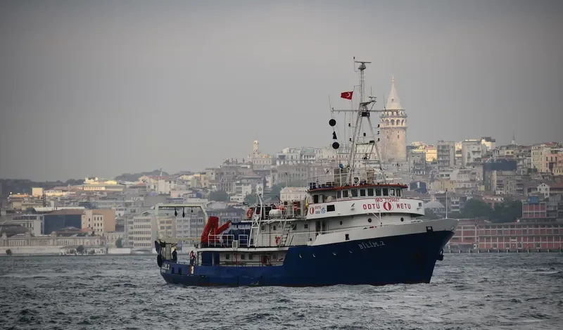 BILIM 2 General Cargo IMO 7729667 photo 4