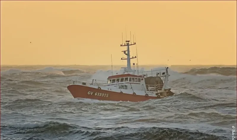 PLUTON Fishing Vessel IMO 7730068