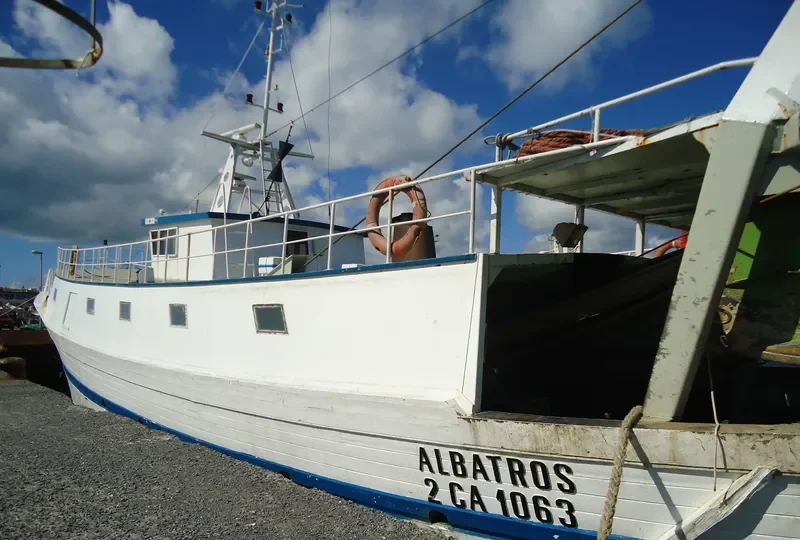 ALBATROS General Cargo IMO 7730501