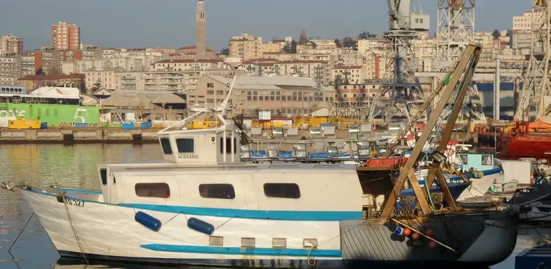 ACQUARIO General Cargo IMO 7730537