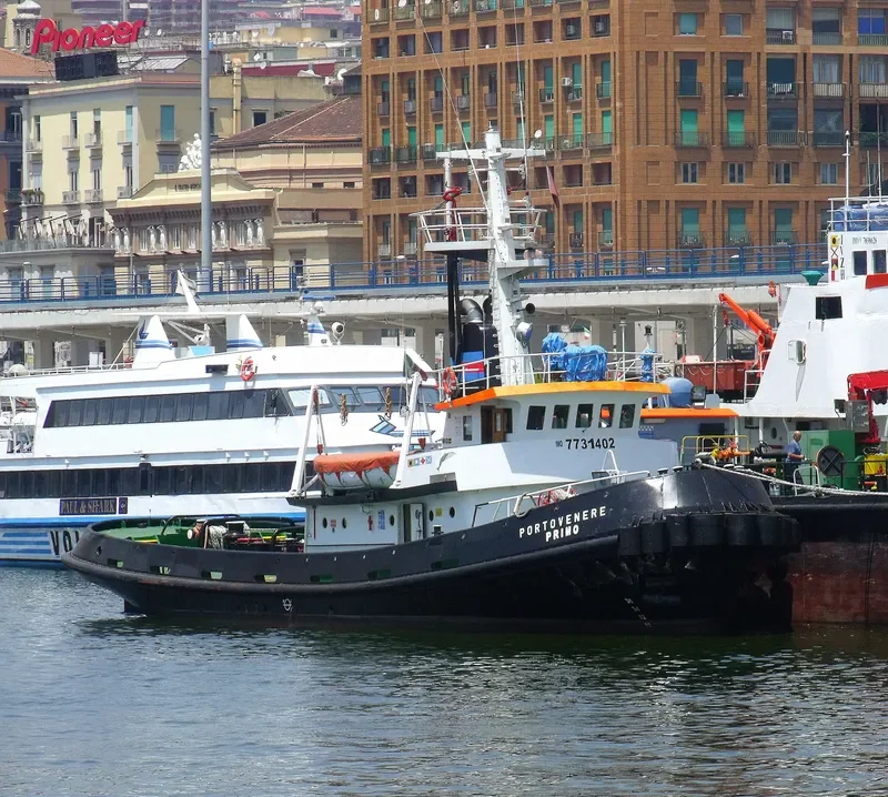 PORTOVENERE PRIMO Tug Boat IMO 7731402