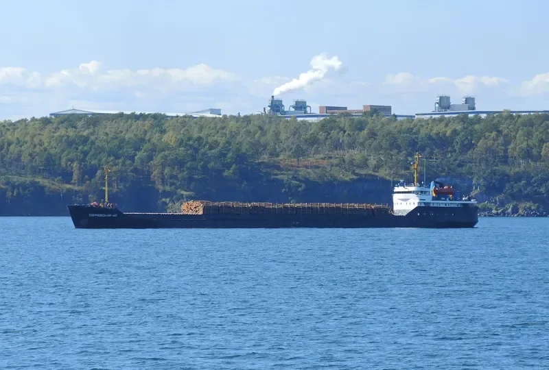 SORMOVSKIY 40 General Cargo IMO 7732016 photo 2