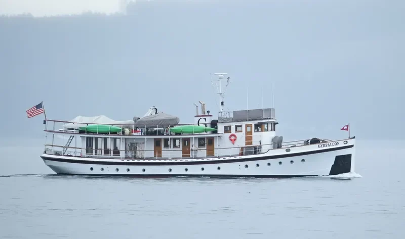 GYRFALCON General Cargo IMO 7732406