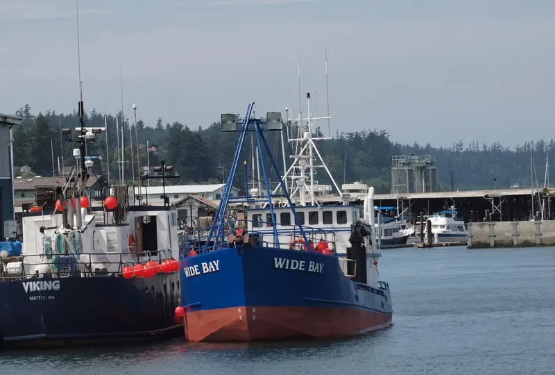 WIDE BAY Fishing Vessel IMO 7732585 photo 3