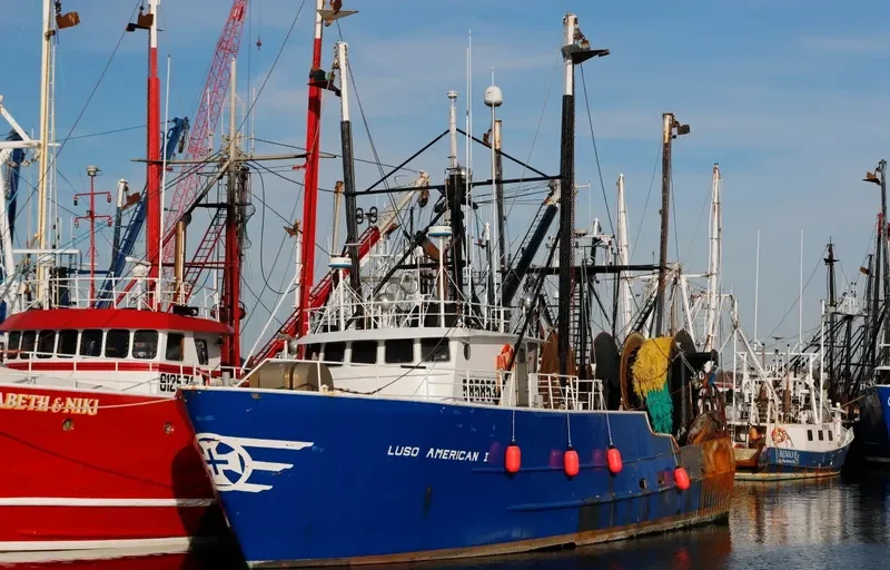 LUSO AMERICAN I Fishing Vessel IMO 7733046 photo 6