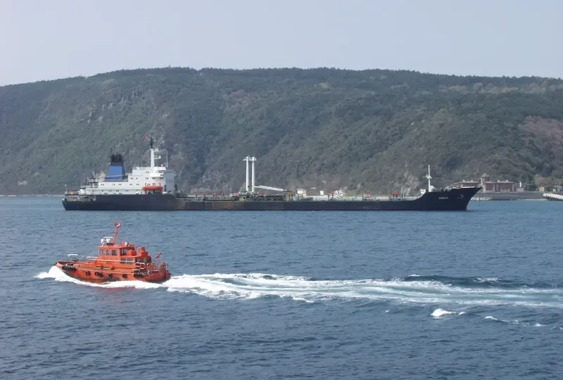 MARIO Tanker IMO 7733498 photo 2