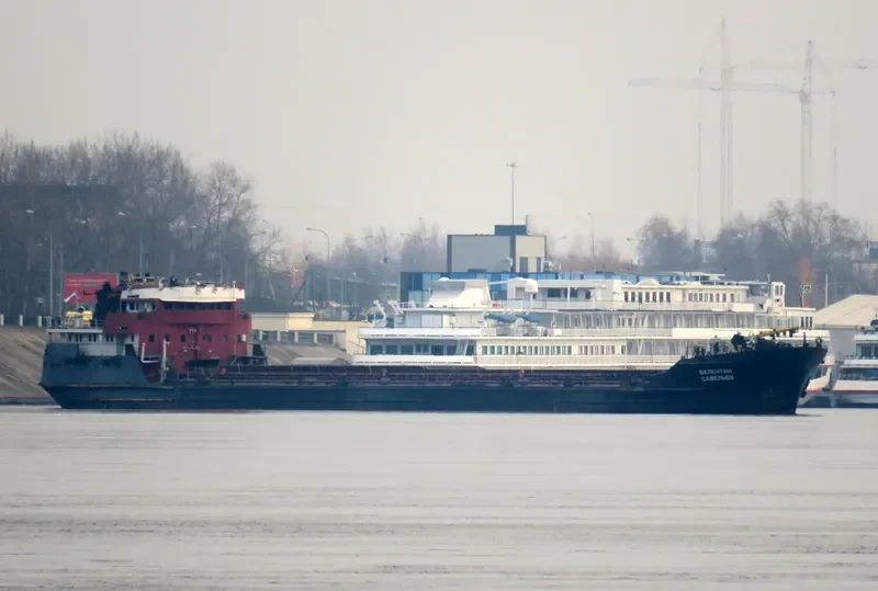 VALENTIN SAVELIEV General Cargo IMO 7733553 photo 7