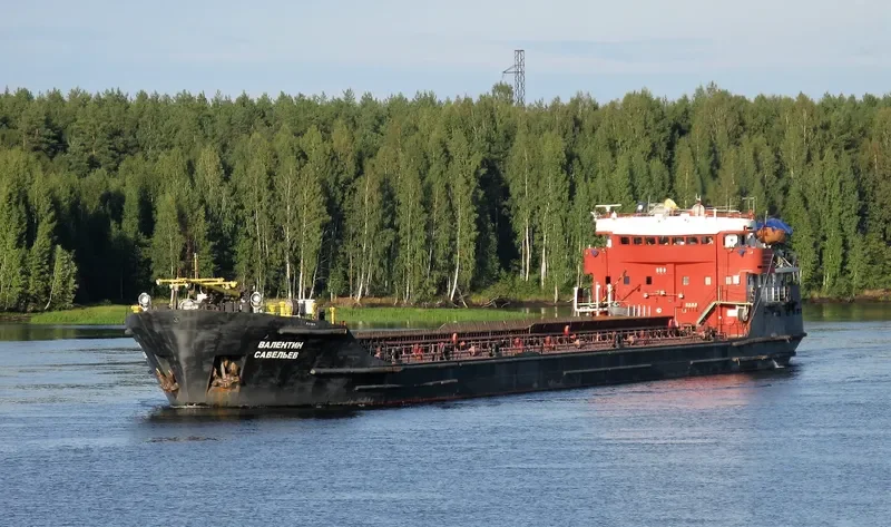 VALENTIN SAVELIEV General Cargo IMO 7733553 photo 8
