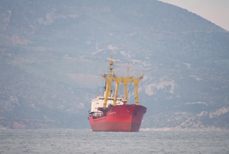 PIONER BELORUSSII General Cargo Vessel IMO 7733656 photo 5