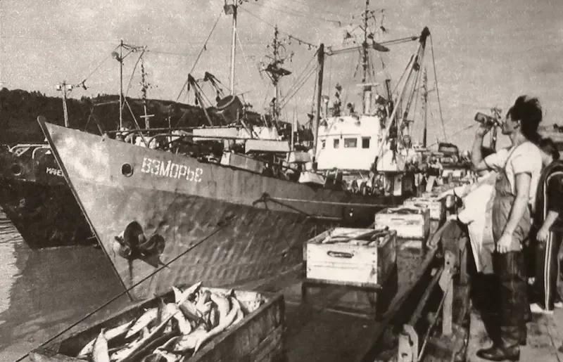 VZMORYE Fishing Vessel IMO 7733838