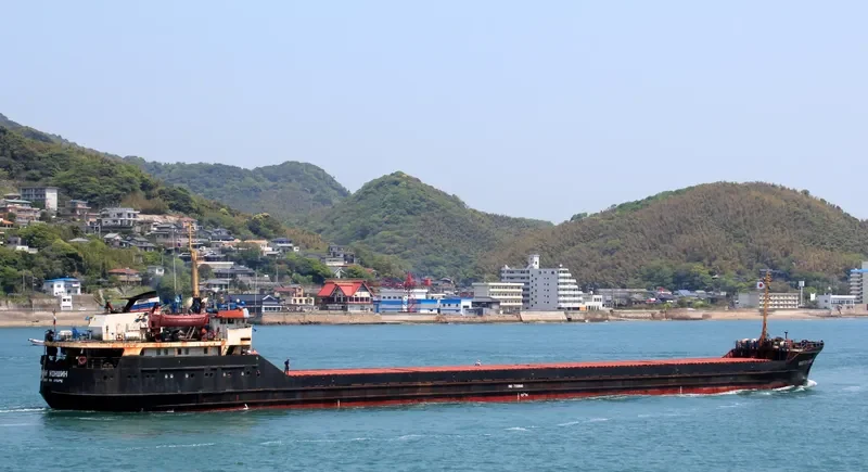 KAPITAN KONSHIN General Cargo IMO 7733840 photo 3
