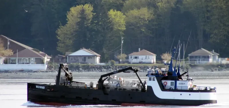 HUSKY General Cargo IMO 7734325 photo 5