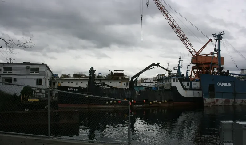 HUSKY General Cargo IMO 7734325 photo 7