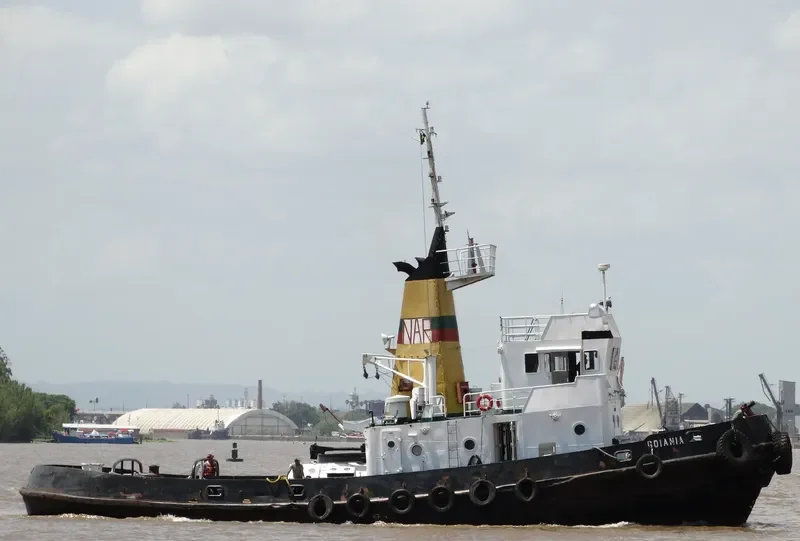 GOIANIA General Cargo IMO 7734569 photo 2
