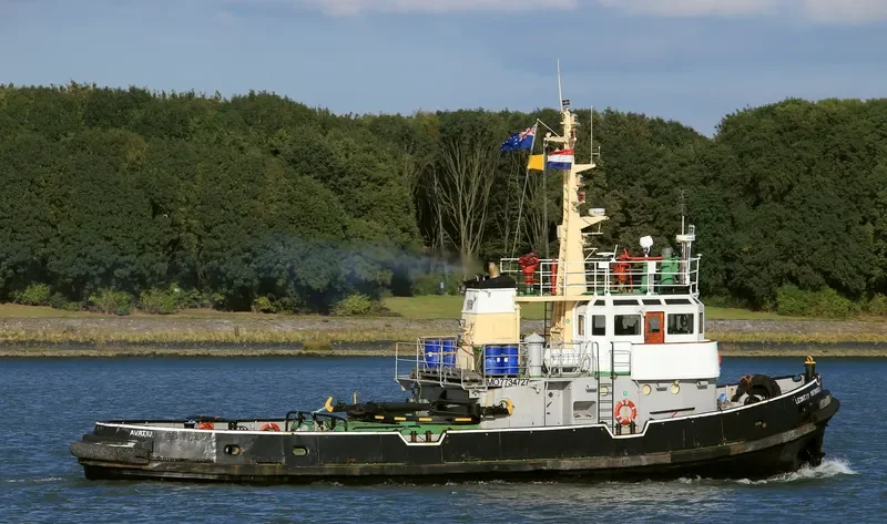 LEONTIY MARTINOVICH Tug Boat IMO 7734727 photo 4