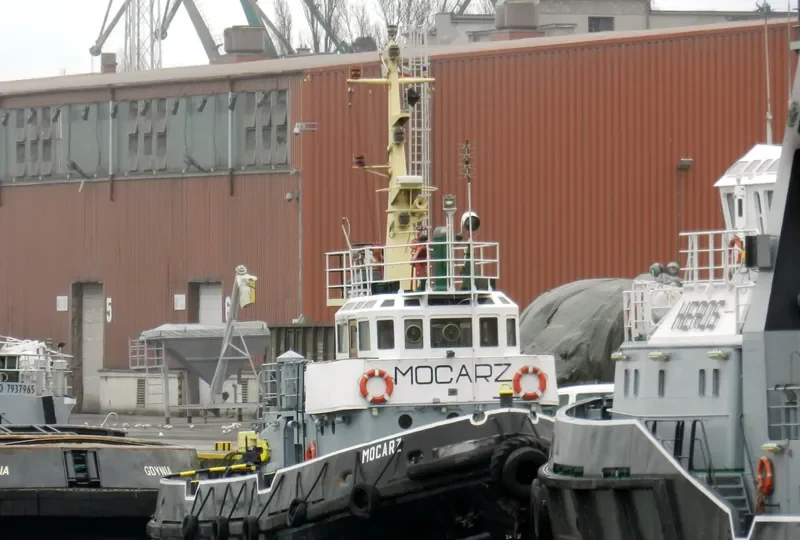LEONTIY MARTINOVICH Tug Boat IMO 7734727 photo 7