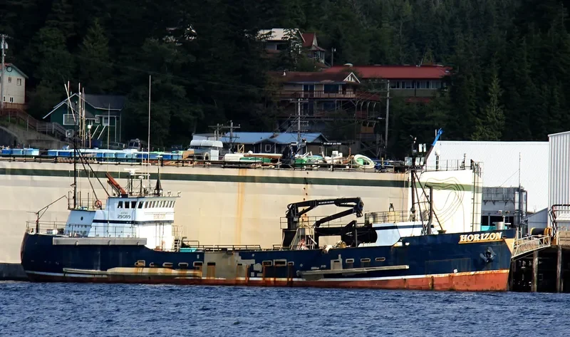 HORIZON General Cargo IMO 7736232