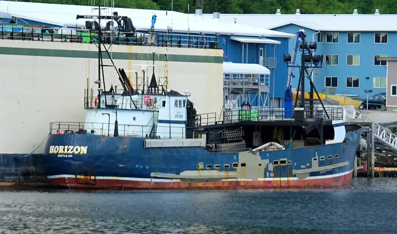 HORIZON General Cargo IMO 7736232 photo 2