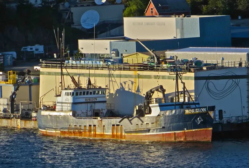 HORIZON General Cargo IMO 7736232 photo 3