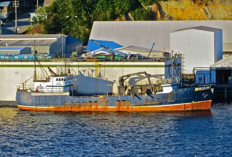 HORIZON General Cargo IMO 7736232 photo 4