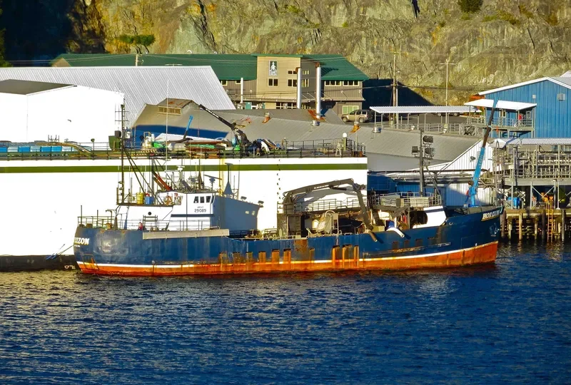 HORIZON General Cargo IMO 7736232 photo 5