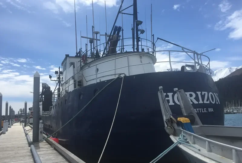 HORIZON General Cargo IMO 7736232 photo 7