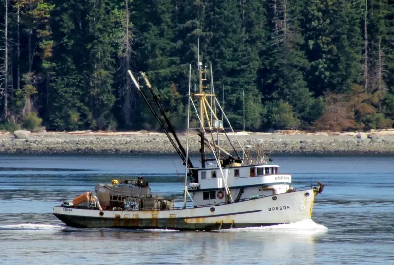 OREGON Fishing Vessel IMO 7738448 photo 3