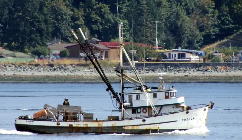 OREGON Fishing Vessel IMO 7738448 photo 6