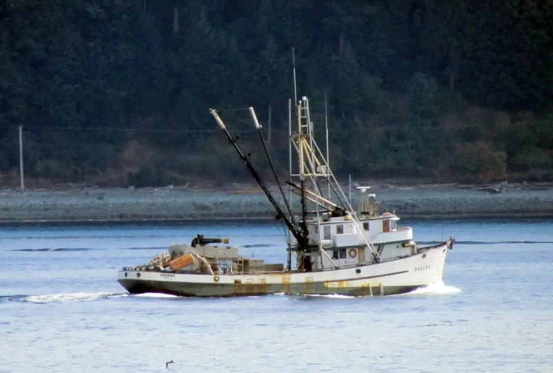 OREGON Fishing Vessel IMO 7738448 photo 7