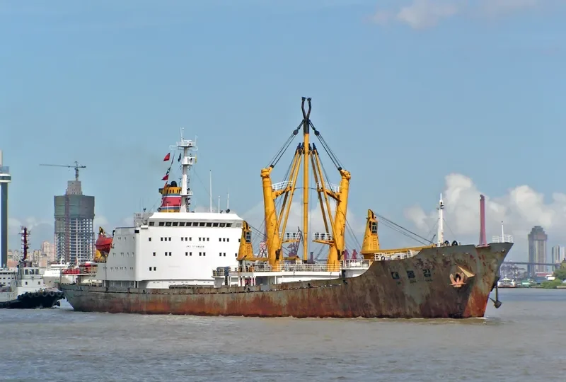 TAE DONG GANG General Cargo IMO 7738656 photo 3