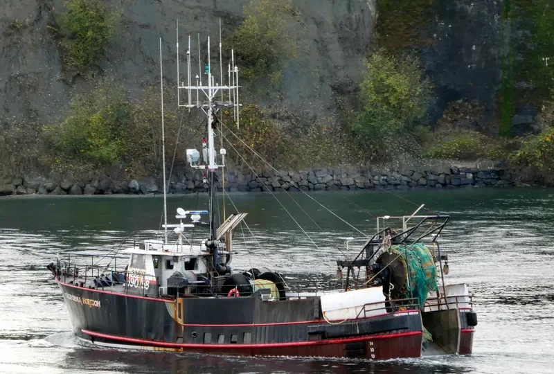 CALIFORNIA HORIZON Fishing Vessel IMO 7739193